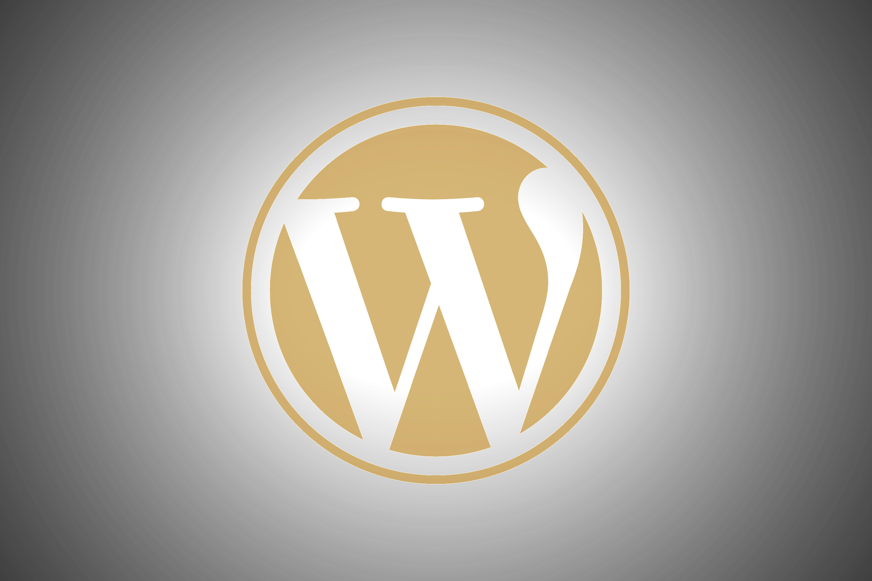 WordPress Developer
